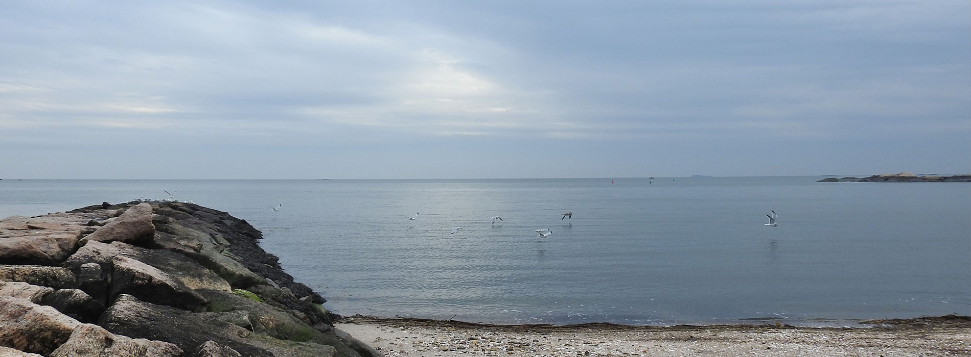The image displays a serene ocean scene with a rocky shoreline, calm waters under an overcast sky, and a few distant boats on the horizon.